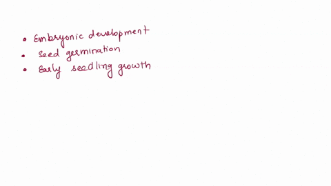 what-is-the-benefit-of-a-seed-storing-nutrients-for-the-plant-embryo-if-the-plant-is-already-acquiring-its-food-through-photosynthesis-based-on-your-knowledge-of-auxin-production-and-how-gra-89424
