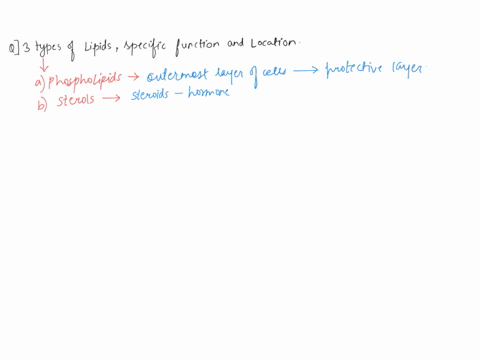 make-a-chart-of-the-three-main-types-of-lipids-their-specific-functions-in-the-body-and-where-they-are-found-79256
