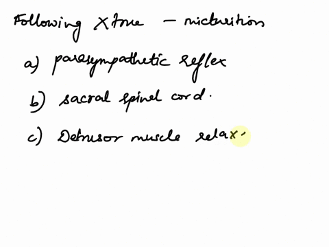 which-one-of-the-following-is-not-true-for-the-process-of-micturition-oit-is-a-parasympathetic-reflex-reflex-is-centered-in-the-sacral-spinal-cord-detrusormuscle-relaxes-urethralsphinctersre-25152