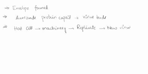 1-an-enveloped-virus-is-surrounded-by-a-phospholipids-outer-layer-whenhow-does-this-envelope-former-a-it-is-copied-by-the-virus-built-during-synthesis-and-placed-around-the-dna-during-assemb-39182