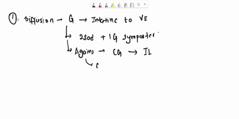 describe-diffusion-of-glucose-from-intestine-to-villus-epithelium-and-active-transport-of-sodium-ion-from-nerve-cell-to-outside-13183