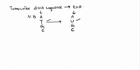 9-the-following-dna-strand-is-the-coding-strand-what-is-the-sequence-of-the-rna-which-is-transcribed-from-it-5-att-ctc-cta-gga-tta-cgc-3-a-5-att-ctc-cta-gga-tta-cgc-3-b-5-auu-cuc-cua-gga-uua-46148