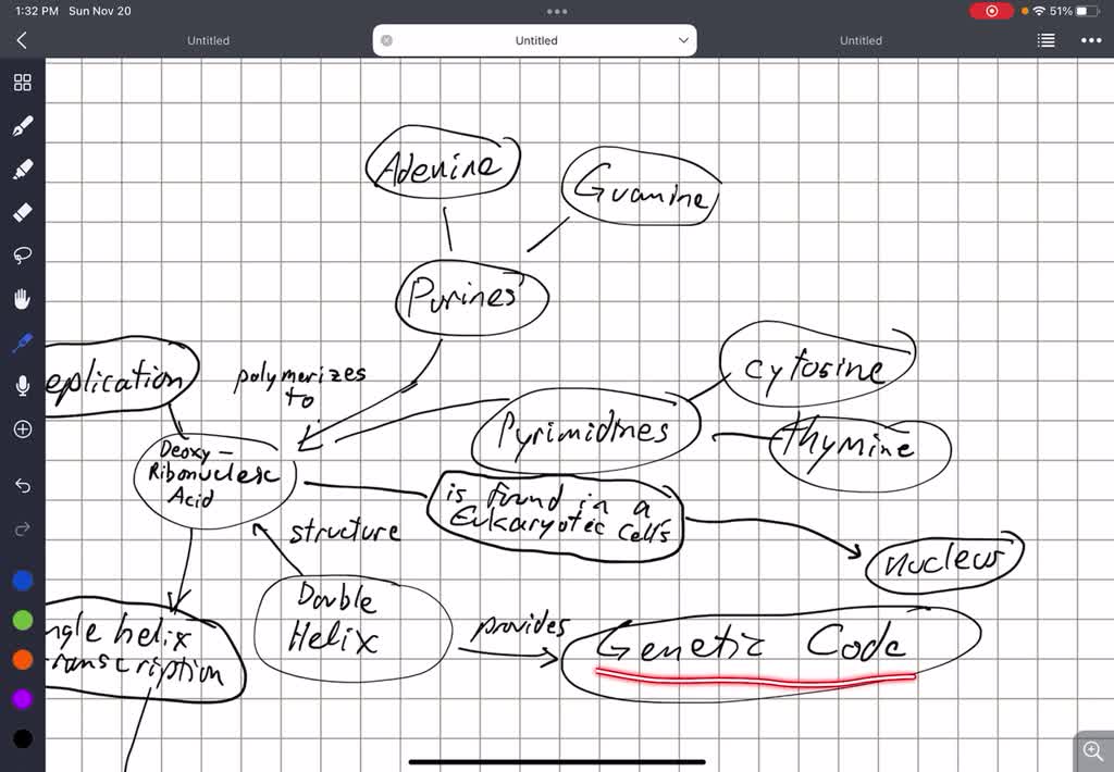 Using at least 25 of the 40 vocab terms below, create a Concept Map ...