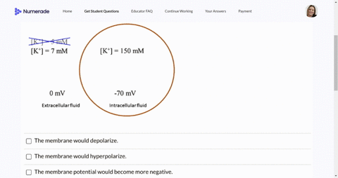 in-a-typical-cell-the-concentrations-of-k-inthe-ecf-and-icf-are-5-mmand-150-mm-respectively-and-the-typical-resting-membrane-potential-is-70-mv-if-the-concentration-of-kt-in-the-ecf-was-incr-22778