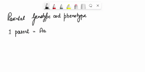 in-ratsthe-following-genotypes-of-2-independently-assorting-autosoma-genes-determine-coat-color-gray-a-bb-yellow-aa-b-black-aa-bb-creamn-3rd-gene-pair-on-a-separate-autosome-determines-wheth-47413