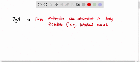 choose-the-class-of-antibody-that-matches-each-statement-each-answer-used-once-14-15-polnts-761-igg-igm-005804-match-each-of-the-options-above-to-the-items-below-these-are-the-most-abundant-92598