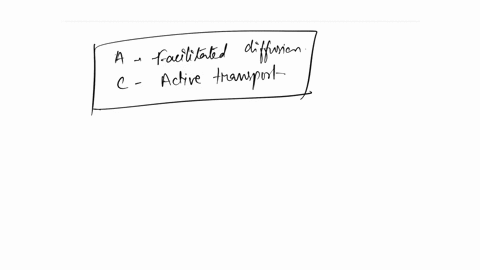 which-of-the-following-required-a-protein-channel-carrier-to-allow-molecules-to-cross-the-cell-membrane-plasma-membrane-hint-multiple-answers-a-facilitated-diffusion-b-osmosis-c-active-trans-45756