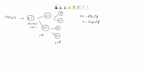 which-of-these-statements-is-true-meiosis-results-in-four-genetically-unique-diploid-cells-meiosis-results-in-four-genetically-identical-haploid-cells-meiosis-results-in-two-genetically-uniq-14951