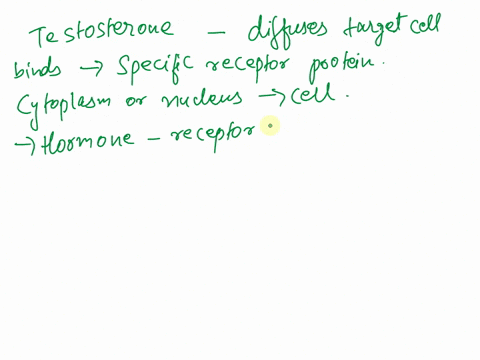 question-41-when-testosterone-diffuses-into-a-target-cell-it-works-by-coordinating-a-phosphorylation-cascade-that-increases-spermatogenesis-acting-as-a-steroid-signal-receptor-that-activates-73208