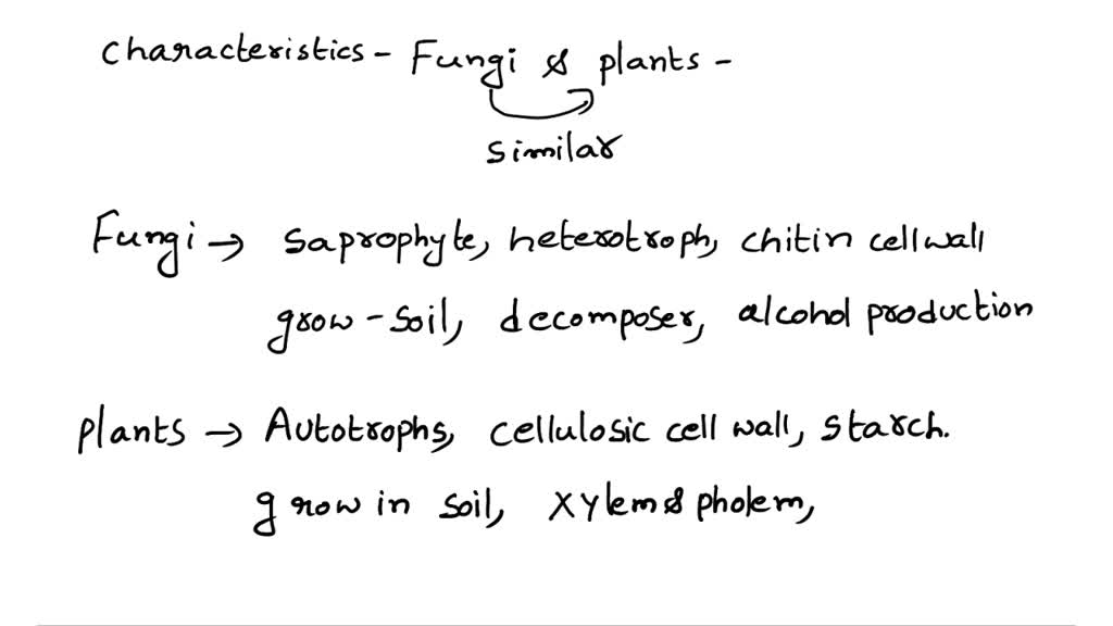 SOLVED Which characteristic makes fungi similar to plants? A.) Both