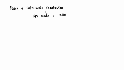 specifically-what-part-of-the-intrinsic-conduction-system-stimulates-the-atrioventricular-av-node-to-conduct-impulses-to-the-atrioventricular-bundle-pathways-of-action-potential-propagation-18914