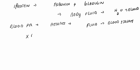 proteins-attract-water-and-hold-it-within-blood-vessels-preventing-it-from-freely-flowing-into-the-spaces-between-the-cells-this-is-an-example-of-how-protein-is-used-for-a-maintaining-fluid-78097