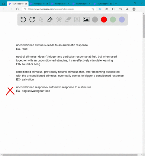 a-stimulus-that-does-not-initially-elicit-a-response-in-an-organism-is-an-_____-a-unconditioned-stim-86775