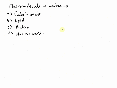 what-kind-of-macromolecule-is-water-a-carbohydrate-b-lipid-c-protein-d-nucleic-acid-84303