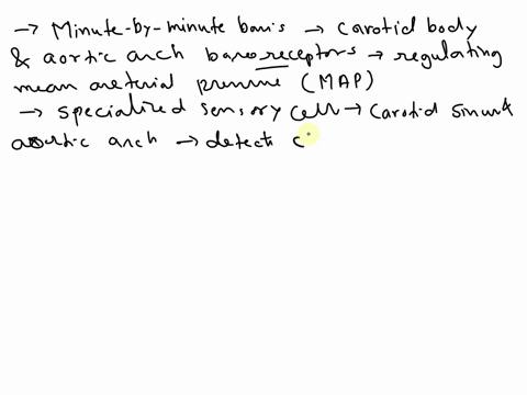 discuss-how-the-kidneys-and-the-carotid-bodyaortic-arch-baroreceptors-interact-to-regulate-mean-arterial-pressure-both-on-a-minute-by-minute-and-long-term-basis-be-sure-to-include-the-mechan-76061