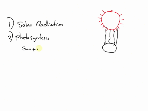 explain-why-the-sun-is-called-the-ultimate-source-of-energy-for-all-the-living-beings-on-earth-33919