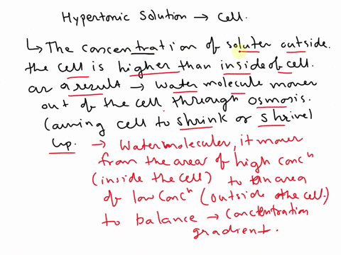 what-will-happen-to-a-cell-that-is-placed-in-a-hypertonic-solution-34316