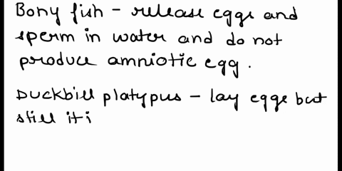 which-of-the-following-do-not-produce-an-amniotic-egg-choose-more-than-one-answer-if-correct-a-bony-29186