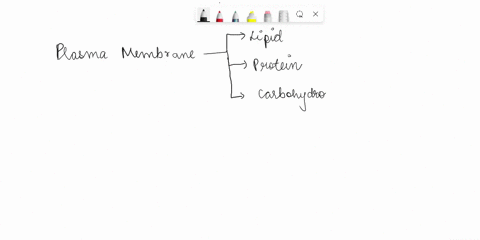the-membrane-bilayer-has-unique-properties-based-on-its-composition-which-of-the-following-describes-this-characteristic-covalent-bonding-between-neighboring-fatty-acid-chains-helps-to-stabi-52736