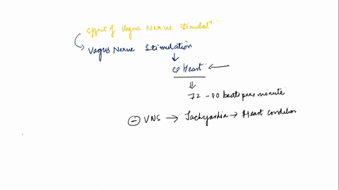 examining-the-effect-of-vagus-nerve-stimulation-1-explain-the-effect-that-extreme-vagus-nerve-stimulation-had-on-the-heart-how-well-did-the-results-compare-with-your-prediction-2-explain-two-88835