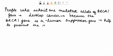 question-7-pts-explain-why-people-who-inherit-one-mutated-allele-of-the-brcai-gene-have-a-higher-likelihood-of-developing-cancer-html-editore-b-i-4-a-a-i-3-3-2-f-e-0-v-v-0-m-t-12pt-paragraph-51323