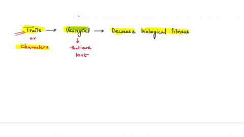 true-false-true-false-some-traits-are-pajapisuoj-vestigial-because-they-decrease-the-biological-fitness-93952
