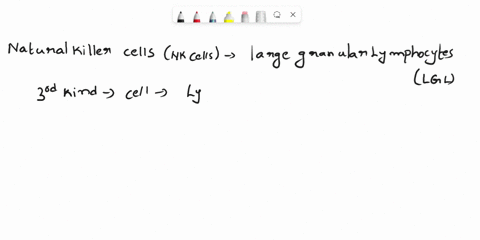 which-of-the-following-statements-about-nk-cells-is-true-a-nk-cells-recognize-if-mhc-i-is-not-expressed-on-the-target-cell-b-tcr-is-expressed-by-all-nk-cells-c-nk-cells-are-derived-from-a-co-40107