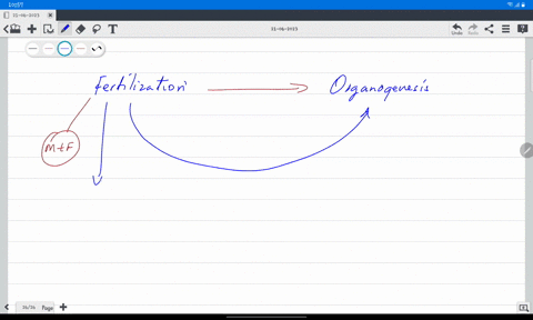 46-which-of-the-following-represents-the-proper-order-of-events-in-embryonic-development-a-fertilization-gastrulation-neurulation-cleavage-organogenesis-b-fertilization-cleavage-gastrulation-organogen