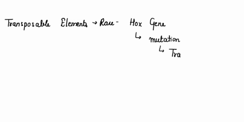 mobile-pieces-of-dna-transposable-elements-that-insert-themselves-into-chromosomes-and-accumulate-2-78368
