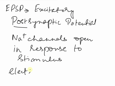 when-a-second-epsp-arrives-at-a-single-synapse-before-the-effects-of-the-first-epsp-have-disappeared-what-happens-o-decrease-of-the-speed-of-the-action-potential-o-temporal-summation-o-spati-85797
