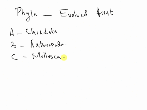 which-of-the-following-phyla-is-thought-to-have-evolved-first-a-chordata-fish-frogs-snakes-birds-humans-etc-b-arthropoda-insects-spiders-crustaceans-etc-c-mollusca-clams-snails-squids-etc-d-17758