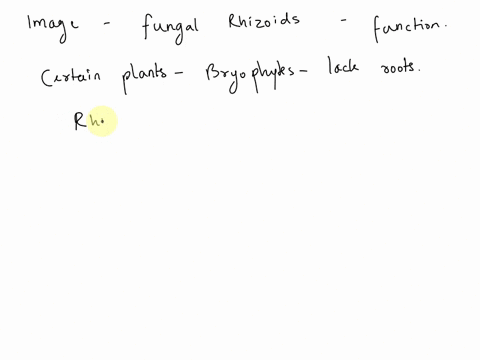 describe-the-function-of-the-structure-pictured-below-the-image-shows-a-microscopic-view-of-fungal-rhizoids-2011-flvs-2-points-asexual-reproduction-spore-production-sexual-reproduction-water-30242