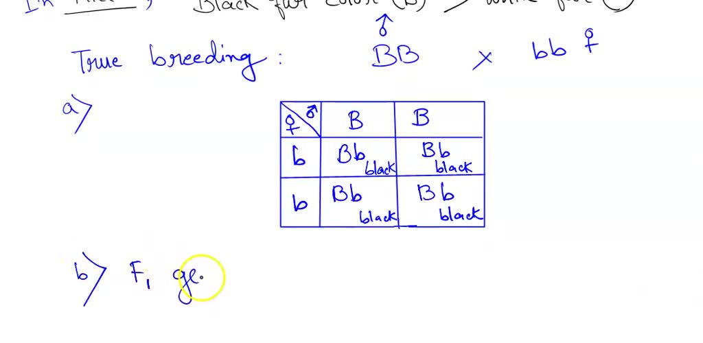 17-pedigree-problem-worksheet-answers-worksheeto