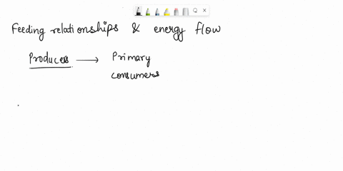 describe-feeding-relationships-and-energy-flow-in-an-ecosystem-starting-from-producers-use-concepts-such-as-trophic-levels-food-chains-food-webs-ecological-pyramids-69389