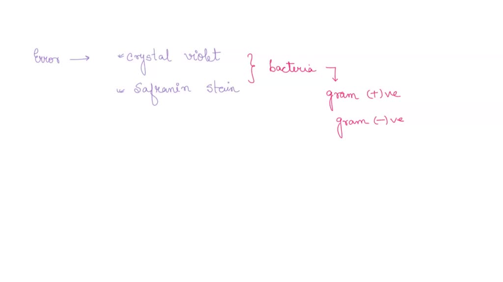 SOLVED: Explain the relationship between the observed Gram reaction and ...