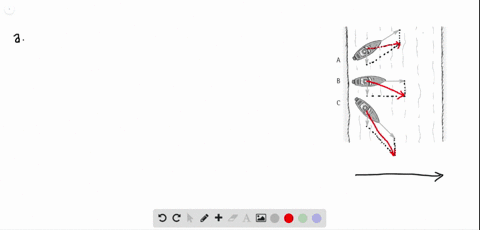 here-we-see-top-views-of-three-motorboats-crossing-a-river-all-have-the-same-speed-relative-to-the-water-and-all-experience-the-same-river-flow-construct-resultant-vectors-showing-the-speed-and-dire-3