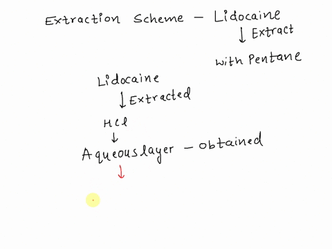 while-completing-the-extraction-scheme-for-lidocaine-what-would-happen-if-we-would-extract-with-pentane-the-aqueous-layer-obtained-after-the-hci-extraction-71-34406