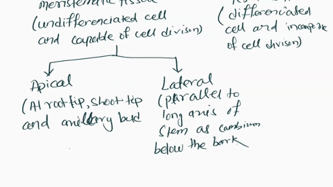 explain-the-types-of-plant-tissues-with-the-help-of-flow-chartans-it-plz-38087