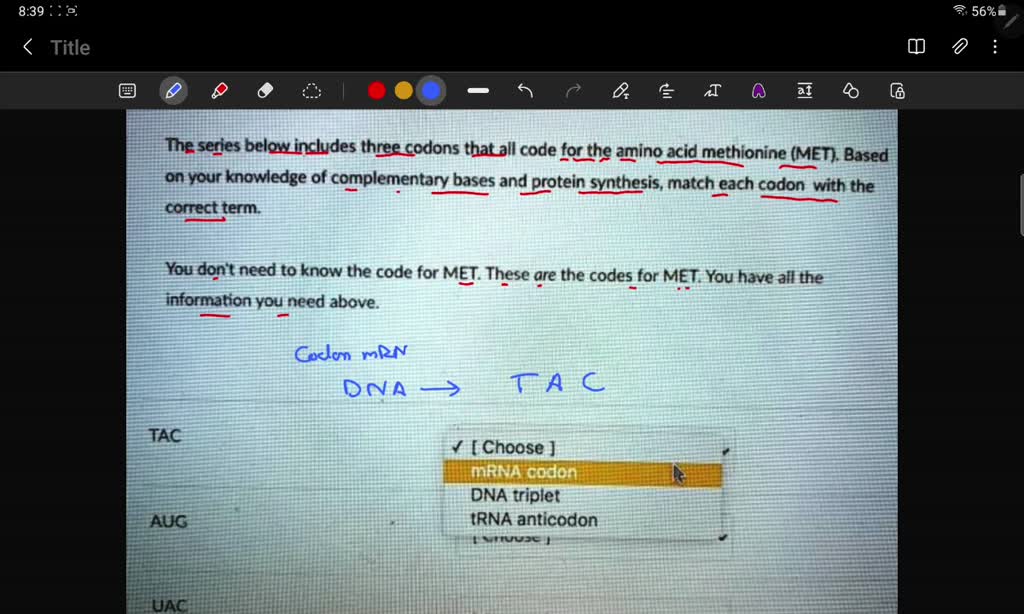 SOLVED: For each of the following sequences complete the series by ...