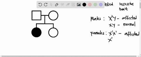 question-3-could-shaded-in-this-pedigree-be-an-x-iinked-dominant-trait-yes-question-4-could-shaded-in-this-pedigree-be-an-x-linked-recessive-trait-yes-10704
