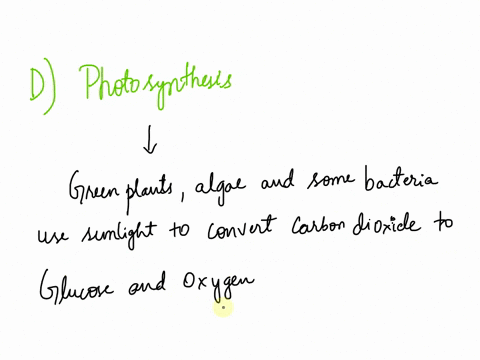 what-process-adds-oxygen-to-ocean-water-a-tides-b-oxidation-c-respiration-d-photosynthesis-45607