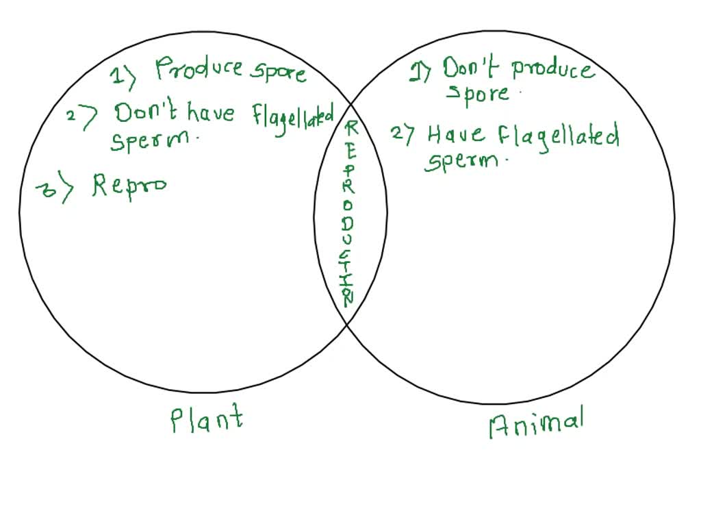 SOLVED: Task 1. Reproduction (20 POINTS) Direction: Distinguish plant and animal  reproduction on the Venn diagram below: Use at least 5 sentences on  answering each side. Plant Animal