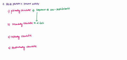 what-is-the-relationship-between-enzyme-activity-and-the-structure-of-proteins-11276
