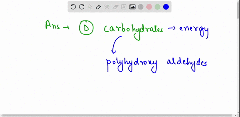 which-statement-is-true-of-carbohydrates-a-carbohydrates-form-biological-catalysts-known-as-enzymes-b-carbohydrates-carry-the-genetic-information-in-plants-c-carbohydrates-are-major-componen-05042
