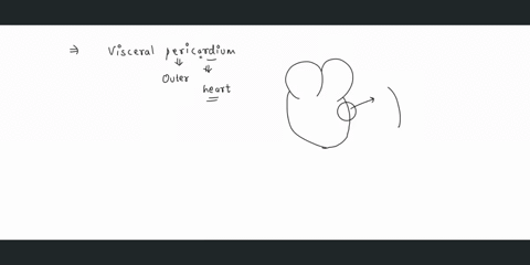 clear-my-choice-visceral-pericardium-is-located-select-one-lining-the-peritoneal-cavity-b-lining-the-pericardial-cavity-lining-the-pleural-cavity-on-the-heart-itself-eon-the-lung-itself-stio-50367