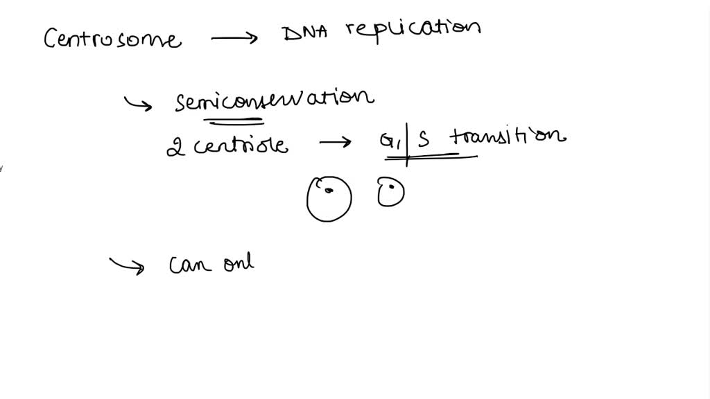 SOLVED How is centrosome duplication similar DNA replication They Biology Diagrams