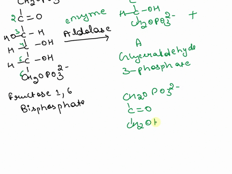 a-key-step-in-glycolysis-is-the-retro-aldol-reaction-of-fructose-16-bisphophate-give-glyceraldehyde3-phosphate-and-dihydroxyacetonephosphate-compound-then-tautomerizes-t0-first-draw-the-stru-10689