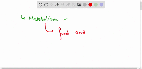 all-the-chemical-activities-within-a-living-thing-are-called-its-___-43342