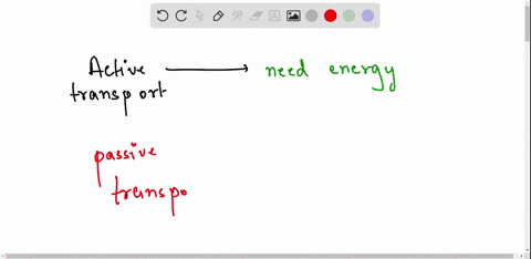 are-endocytosis-and-exocytosis-forms-of-passive-or-active-transport-53431