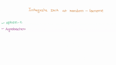 select-the-traditional-methods-that-integrate-dna-at-random-in-a-genome-a-crispr-b-gene-gun-c-agrobacterium-d-ems-mutagenesis-55822